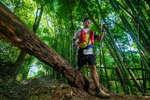 BIB: 2238
                            <button type="button" onclick="openModal(19060815)" class="btn btn-primary btn-sm float-right btn-popup" data-toggle="modal" data-target=".modal-high-quality">
                        <i class="fas fa-shopping-cart"></i> Add to Cart
                    </button>
                                            <button type="button" onclick="isThisMe(19060815, true)" class="btn btn-success btn-sm float-right btn-popup btn-isme hidden" data-toggle="tooltip" data-placement="bottom" title="นี่คือรูปของคุณใช่ไหม คลิกที่นี่เพื่อเอาเข้าอัลบั้ม">
                        <i class="fas fa-plus"></i> Add to album
                    </button>
                    <button type="button" onclick="isThisMe(19060815, false)" class="btn btn-warning btn-sm float-right btn-popup btn-isnotme hidden">
                        <i class="fas fa-ban"></i> Remove from album
                    </button>