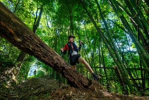 BIB: 
                            <button type="button" onclick="openModal(19067331)" class="btn btn-primary btn-sm float-right btn-popup" data-toggle="modal" data-target=".modal-high-quality">
                        <i class="fas fa-shopping-cart"></i> Add to Cart
                    </button>
                                            <button type="button" onclick="isThisMe(19067331, true)" class="btn btn-success btn-sm float-right btn-popup btn-isme hidden" data-toggle="tooltip" data-placement="bottom" title="นี่คือรูปของคุณใช่ไหม คลิกที่นี่เพื่อเอาเข้าอัลบั้ม">
                        <i class="fas fa-plus"></i> Add to album
                    </button>
                    <button type="button" onclick="isThisMe(19067331, false)" class="btn btn-warning btn-sm float-right btn-popup btn-isnotme hidden">
                        <i class="fas fa-ban"></i> Remove from album
                    </button>