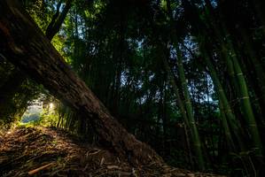 BIB: 
                            <button type="button" onclick="openModal(18986066)" class="btn btn-primary btn-sm float-right btn-popup" data-toggle="modal" data-target=".modal-high-quality">
                        <i class="fas fa-shopping-cart"></i> Add to Cart
                    </button>
                                            <button type="button" onclick="isThisMe(18986066, true)" class="btn btn-success btn-sm float-right btn-popup btn-isme hidden" data-toggle="tooltip" data-placement="bottom" title="นี่คือรูปของคุณใช่ไหม คลิกที่นี่เพื่อเอาเข้าอัลบั้ม">
                        <i class="fas fa-plus"></i> Add to album
                    </button>
                    <button type="button" onclick="isThisMe(18986066, false)" class="btn btn-warning btn-sm float-right btn-popup btn-isnotme hidden">
                        <i class="fas fa-ban"></i> Remove from album
                    </button>