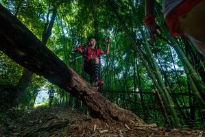 BIB: 
                            <button type="button" onclick="openModal(18994542)" class="btn btn-primary btn-sm float-right btn-popup" data-toggle="modal" data-target=".modal-high-quality">
                        <i class="fas fa-shopping-cart"></i> Add to Cart
                    </button>
                                            <button type="button" onclick="isThisMe(18994542, true)" class="btn btn-success btn-sm float-right btn-popup btn-isme hidden" data-toggle="tooltip" data-placement="bottom" title="นี่คือรูปของคุณใช่ไหม คลิกที่นี่เพื่อเอาเข้าอัลบั้ม">
                        <i class="fas fa-plus"></i> Add to album
                    </button>
                    <button type="button" onclick="isThisMe(18994542, false)" class="btn btn-warning btn-sm float-right btn-popup btn-isnotme hidden">
                        <i class="fas fa-ban"></i> Remove from album
                    </button>