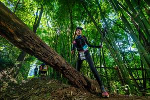 BIB: 
                            <button type="button" onclick="openModal(19065927)" class="btn btn-primary btn-sm float-right btn-popup" data-toggle="modal" data-target=".modal-high-quality">
                        <i class="fas fa-shopping-cart"></i> Add to Cart
                    </button>
                                            <button type="button" onclick="isThisMe(19065927, true)" class="btn btn-success btn-sm float-right btn-popup btn-isme hidden" data-toggle="tooltip" data-placement="bottom" title="นี่คือรูปของคุณใช่ไหม คลิกที่นี่เพื่อเอาเข้าอัลบั้ม">
                        <i class="fas fa-plus"></i> Add to album
                    </button>
                    <button type="button" onclick="isThisMe(19065927, false)" class="btn btn-warning btn-sm float-right btn-popup btn-isnotme hidden">
                        <i class="fas fa-ban"></i> Remove from album
                    </button>