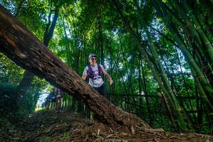 BIB: 
                            <button type="button" onclick="openModal(18998060)" class="btn btn-primary btn-sm float-right btn-popup" data-toggle="modal" data-target=".modal-high-quality">
                        <i class="fas fa-shopping-cart"></i> Add to Cart
                    </button>
                                            <button type="button" onclick="isThisMe(18998060, true)" class="btn btn-success btn-sm float-right btn-popup btn-isme hidden" data-toggle="tooltip" data-placement="bottom" title="นี่คือรูปของคุณใช่ไหม คลิกที่นี่เพื่อเอาเข้าอัลบั้ม">
                        <i class="fas fa-plus"></i> Add to album
                    </button>
                    <button type="button" onclick="isThisMe(18998060, false)" class="btn btn-warning btn-sm float-right btn-popup btn-isnotme hidden">
                        <i class="fas fa-ban"></i> Remove from album
                    </button>