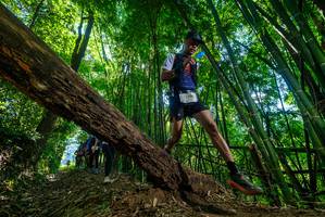 BIB: 255
                            <button type="button" onclick="openModal(19064669)" class="btn btn-primary btn-sm float-right btn-popup" data-toggle="modal" data-target=".modal-high-quality">
                        <i class="fas fa-shopping-cart"></i> Add to Cart
                    </button>
                                            <button type="button" onclick="isThisMe(19064669, true)" class="btn btn-success btn-sm float-right btn-popup btn-isme hidden" data-toggle="tooltip" data-placement="bottom" title="นี่คือรูปของคุณใช่ไหม คลิกที่นี่เพื่อเอาเข้าอัลบั้ม">
                        <i class="fas fa-plus"></i> Add to album
                    </button>
                    <button type="button" onclick="isThisMe(19064669, false)" class="btn btn-warning btn-sm float-right btn-popup btn-isnotme hidden">
                        <i class="fas fa-ban"></i> Remove from album
                    </button>