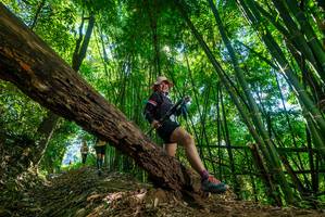 BIB: 
                            <button type="button" onclick="openModal(19069606)" class="btn btn-primary btn-sm float-right btn-popup" data-toggle="modal" data-target=".modal-high-quality">
                        <i class="fas fa-shopping-cart"></i> Add to Cart
                    </button>
                                            <button type="button" onclick="isThisMe(19069606, true)" class="btn btn-success btn-sm float-right btn-popup btn-isme hidden" data-toggle="tooltip" data-placement="bottom" title="นี่คือรูปของคุณใช่ไหม คลิกที่นี่เพื่อเอาเข้าอัลบั้ม">
                        <i class="fas fa-plus"></i> Add to album
                    </button>
                    <button type="button" onclick="isThisMe(19069606, false)" class="btn btn-warning btn-sm float-right btn-popup btn-isnotme hidden">
                        <i class="fas fa-ban"></i> Remove from album
                    </button>