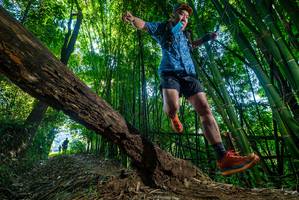 BIB: 
                            <button type="button" onclick="openModal(18994950)" class="btn btn-primary btn-sm float-right btn-popup" data-toggle="modal" data-target=".modal-high-quality">
                        <i class="fas fa-shopping-cart"></i> Add to Cart
                    </button>
                                            <button type="button" onclick="isThisMe(18994950, true)" class="btn btn-success btn-sm float-right btn-popup btn-isme hidden" data-toggle="tooltip" data-placement="bottom" title="นี่คือรูปของคุณใช่ไหม คลิกที่นี่เพื่อเอาเข้าอัลบั้ม">
                        <i class="fas fa-plus"></i> Add to album
                    </button>
                    <button type="button" onclick="isThisMe(18994950, false)" class="btn btn-warning btn-sm float-right btn-popup btn-isnotme hidden">
                        <i class="fas fa-ban"></i> Remove from album
                    </button>