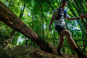 BIB: 
                            <button type="button" onclick="openModal(19068855)" class="btn btn-primary btn-sm float-right btn-popup" data-toggle="modal" data-target=".modal-high-quality">
                        <i class="fas fa-shopping-cart"></i> Add to Cart
                    </button>
                                            <button type="button" onclick="isThisMe(19068855, true)" class="btn btn-success btn-sm float-right btn-popup btn-isme hidden" data-toggle="tooltip" data-placement="bottom" title="นี่คือรูปของคุณใช่ไหม คลิกที่นี่เพื่อเอาเข้าอัลบั้ม">
                        <i class="fas fa-plus"></i> Add to album
                    </button>
                    <button type="button" onclick="isThisMe(19068855, false)" class="btn btn-warning btn-sm float-right btn-popup btn-isnotme hidden">
                        <i class="fas fa-ban"></i> Remove from album
                    </button>