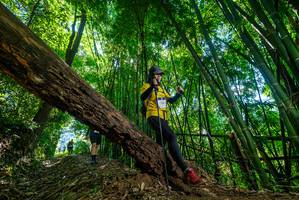 BIB: 
                            <button type="button" onclick="openModal(19064850)" class="btn btn-primary btn-sm float-right btn-popup" data-toggle="modal" data-target=".modal-high-quality">
                        <i class="fas fa-shopping-cart"></i> Add to Cart
                    </button>
                                            <button type="button" onclick="isThisMe(19064850, true)" class="btn btn-success btn-sm float-right btn-popup btn-isme hidden" data-toggle="tooltip" data-placement="bottom" title="นี่คือรูปของคุณใช่ไหม คลิกที่นี่เพื่อเอาเข้าอัลบั้ม">
                        <i class="fas fa-plus"></i> Add to album
                    </button>
                    <button type="button" onclick="isThisMe(19064850, false)" class="btn btn-warning btn-sm float-right btn-popup btn-isnotme hidden">
                        <i class="fas fa-ban"></i> Remove from album
                    </button>