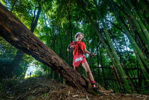 BIB: 
                            <button type="button" onclick="openModal(18992790)" class="btn btn-primary btn-sm float-right btn-popup" data-toggle="modal" data-target=".modal-high-quality">
                        <i class="fas fa-shopping-cart"></i> Add to Cart
                    </button>
                                            <button type="button" onclick="isThisMe(18992790, true)" class="btn btn-success btn-sm float-right btn-popup btn-isme hidden" data-toggle="tooltip" data-placement="bottom" title="นี่คือรูปของคุณใช่ไหม คลิกที่นี่เพื่อเอาเข้าอัลบั้ม">
                        <i class="fas fa-plus"></i> Add to album
                    </button>
                    <button type="button" onclick="isThisMe(18992790, false)" class="btn btn-warning btn-sm float-right btn-popup btn-isnotme hidden">
                        <i class="fas fa-ban"></i> Remove from album
                    </button>