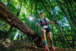 BIB: 
                            <button type="button" onclick="openModal(19054815)" class="btn btn-primary btn-sm float-right btn-popup" data-toggle="modal" data-target=".modal-high-quality">
                        <i class="fas fa-shopping-cart"></i> Add to Cart
                    </button>
                                            <button type="button" onclick="isThisMe(19054815, true)" class="btn btn-success btn-sm float-right btn-popup btn-isme hidden" data-toggle="tooltip" data-placement="bottom" title="นี่คือรูปของคุณใช่ไหม คลิกที่นี่เพื่อเอาเข้าอัลบั้ม">
                        <i class="fas fa-plus"></i> Add to album
                    </button>
                    <button type="button" onclick="isThisMe(19054815, false)" class="btn btn-warning btn-sm float-right btn-popup btn-isnotme hidden">
                        <i class="fas fa-ban"></i> Remove from album
                    </button>