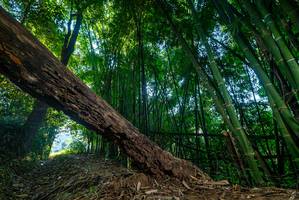 BIB: 
                            <button type="button" onclick="openModal(18994657)" class="btn btn-primary btn-sm float-right btn-popup" data-toggle="modal" data-target=".modal-high-quality">
                        <i class="fas fa-shopping-cart"></i> Add to Cart
                    </button>
                                            <button type="button" onclick="isThisMe(18994657, true)" class="btn btn-success btn-sm float-right btn-popup btn-isme hidden" data-toggle="tooltip" data-placement="bottom" title="นี่คือรูปของคุณใช่ไหม คลิกที่นี่เพื่อเอาเข้าอัลบั้ม">
                        <i class="fas fa-plus"></i> Add to album
                    </button>
                    <button type="button" onclick="isThisMe(18994657, false)" class="btn btn-warning btn-sm float-right btn-popup btn-isnotme hidden">
                        <i class="fas fa-ban"></i> Remove from album
                    </button>