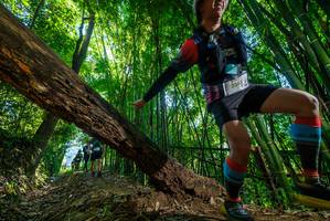 BIB: 2365
                            <button type="button" onclick="openModal(19056354)" class="btn btn-primary btn-sm float-right btn-popup" data-toggle="modal" data-target=".modal-high-quality">
                        <i class="fas fa-shopping-cart"></i> Add to Cart
                    </button>
                                            <button type="button" onclick="isThisMe(19056354, true)" class="btn btn-success btn-sm float-right btn-popup btn-isme hidden" data-toggle="tooltip" data-placement="bottom" title="นี่คือรูปของคุณใช่ไหม คลิกที่นี่เพื่อเอาเข้าอัลบั้ม">
                        <i class="fas fa-plus"></i> Add to album
                    </button>
                    <button type="button" onclick="isThisMe(19056354, false)" class="btn btn-warning btn-sm float-right btn-popup btn-isnotme hidden">
                        <i class="fas fa-ban"></i> Remove from album
                    </button>