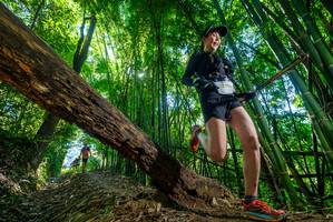 BIB: 3956
                            <button type="button" onclick="openModal(19061452)" class="btn btn-primary btn-sm float-right btn-popup" data-toggle="modal" data-target=".modal-high-quality">
                        <i class="fas fa-shopping-cart"></i> Add to Cart
                    </button>
                                            <button type="button" onclick="isThisMe(19061452, true)" class="btn btn-success btn-sm float-right btn-popup btn-isme hidden" data-toggle="tooltip" data-placement="bottom" title="นี่คือรูปของคุณใช่ไหม คลิกที่นี่เพื่อเอาเข้าอัลบั้ม">
                        <i class="fas fa-plus"></i> Add to album
                    </button>
                    <button type="button" onclick="isThisMe(19061452, false)" class="btn btn-warning btn-sm float-right btn-popup btn-isnotme hidden">
                        <i class="fas fa-ban"></i> Remove from album
                    </button>