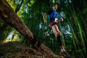 BIB: 
                            <button type="button" onclick="openModal(18986653)" class="btn btn-primary btn-sm float-right btn-popup" data-toggle="modal" data-target=".modal-high-quality">
                        <i class="fas fa-shopping-cart"></i> Add to Cart
                    </button>
                                            <button type="button" onclick="isThisMe(18986653, true)" class="btn btn-success btn-sm float-right btn-popup btn-isme hidden" data-toggle="tooltip" data-placement="bottom" title="นี่คือรูปของคุณใช่ไหม คลิกที่นี่เพื่อเอาเข้าอัลบั้ม">
                        <i class="fas fa-plus"></i> Add to album
                    </button>
                    <button type="button" onclick="isThisMe(18986653, false)" class="btn btn-warning btn-sm float-right btn-popup btn-isnotme hidden">
                        <i class="fas fa-ban"></i> Remove from album
                    </button>