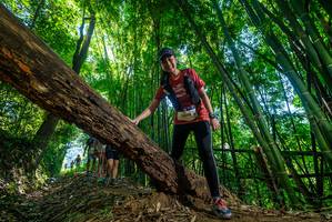 BIB: 
                            <button type="button" onclick="openModal(19055655)" class="btn btn-primary btn-sm float-right btn-popup" data-toggle="modal" data-target=".modal-high-quality">
                        <i class="fas fa-shopping-cart"></i> Add to Cart
                    </button>
                                            <button type="button" onclick="isThisMe(19055655, true)" class="btn btn-success btn-sm float-right btn-popup btn-isme hidden" data-toggle="tooltip" data-placement="bottom" title="นี่คือรูปของคุณใช่ไหม คลิกที่นี่เพื่อเอาเข้าอัลบั้ม">
                        <i class="fas fa-plus"></i> Add to album
                    </button>
                    <button type="button" onclick="isThisMe(19055655, false)" class="btn btn-warning btn-sm float-right btn-popup btn-isnotme hidden">
                        <i class="fas fa-ban"></i> Remove from album
                    </button>