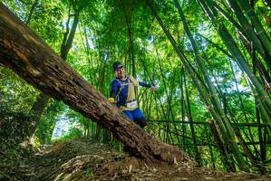 BIB: 
                            <button type="button" onclick="openModal(19071009)" class="btn btn-primary btn-sm float-right btn-popup" data-toggle="modal" data-target=".modal-high-quality">
                        <i class="fas fa-shopping-cart"></i> Add to Cart
                    </button>
                                            <button type="button" onclick="isThisMe(19071009, true)" class="btn btn-success btn-sm float-right btn-popup btn-isme hidden" data-toggle="tooltip" data-placement="bottom" title="นี่คือรูปของคุณใช่ไหม คลิกที่นี่เพื่อเอาเข้าอัลบั้ม">
                        <i class="fas fa-plus"></i> Add to album
                    </button>
                    <button type="button" onclick="isThisMe(19071009, false)" class="btn btn-warning btn-sm float-right btn-popup btn-isnotme hidden">
                        <i class="fas fa-ban"></i> Remove from album
                    </button>