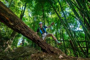 BIB: 2509, 
                            <button type="button" onclick="openModal(19068368)" class="btn btn-primary btn-sm float-right btn-popup" data-toggle="modal" data-target=".modal-high-quality">
                        <i class="fas fa-shopping-cart"></i> Add to Cart
                    </button>
                                            <button type="button" onclick="isThisMe(19068368, true)" class="btn btn-success btn-sm float-right btn-popup btn-isme hidden" data-toggle="tooltip" data-placement="bottom" title="นี่คือรูปของคุณใช่ไหม คลิกที่นี่เพื่อเอาเข้าอัลบั้ม">
                        <i class="fas fa-plus"></i> Add to album
                    </button>
                    <button type="button" onclick="isThisMe(19068368, false)" class="btn btn-warning btn-sm float-right btn-popup btn-isnotme hidden">
                        <i class="fas fa-ban"></i> Remove from album
                    </button>