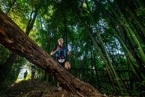 BIB: 
                            <button type="button" onclick="openModal(18987474)" class="btn btn-primary btn-sm float-right btn-popup" data-toggle="modal" data-target=".modal-high-quality">
                        <i class="fas fa-shopping-cart"></i> Add to Cart
                    </button>
                                            <button type="button" onclick="isThisMe(18987474, true)" class="btn btn-success btn-sm float-right btn-popup btn-isme hidden" data-toggle="tooltip" data-placement="bottom" title="นี่คือรูปของคุณใช่ไหม คลิกที่นี่เพื่อเอาเข้าอัลบั้ม">
                        <i class="fas fa-plus"></i> Add to album
                    </button>
                    <button type="button" onclick="isThisMe(18987474, false)" class="btn btn-warning btn-sm float-right btn-popup btn-isnotme hidden">
                        <i class="fas fa-ban"></i> Remove from album
                    </button>