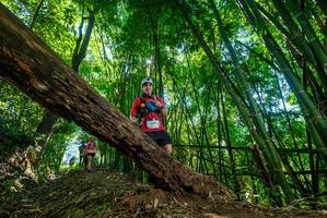 BIB: 
                            <button type="button" onclick="openModal(19066567)" class="btn btn-primary btn-sm float-right btn-popup" data-toggle="modal" data-target=".modal-high-quality">
                        <i class="fas fa-shopping-cart"></i> Add to Cart
                    </button>
                                            <button type="button" onclick="isThisMe(19066567, true)" class="btn btn-success btn-sm float-right btn-popup btn-isme hidden" data-toggle="tooltip" data-placement="bottom" title="นี่คือรูปของคุณใช่ไหม คลิกที่นี่เพื่อเอาเข้าอัลบั้ม">
                        <i class="fas fa-plus"></i> Add to album
                    </button>
                    <button type="button" onclick="isThisMe(19066567, false)" class="btn btn-warning btn-sm float-right btn-popup btn-isnotme hidden">
                        <i class="fas fa-ban"></i> Remove from album
                    </button>