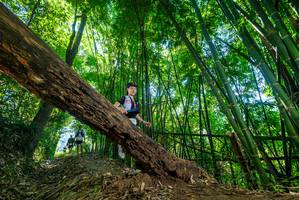 BIB: 
                            <button type="button" onclick="openModal(19059776)" class="btn btn-primary btn-sm float-right btn-popup" data-toggle="modal" data-target=".modal-high-quality">
                        <i class="fas fa-shopping-cart"></i> Add to Cart
                    </button>
                                            <button type="button" onclick="isThisMe(19059776, true)" class="btn btn-success btn-sm float-right btn-popup btn-isme hidden" data-toggle="tooltip" data-placement="bottom" title="นี่คือรูปของคุณใช่ไหม คลิกที่นี่เพื่อเอาเข้าอัลบั้ม">
                        <i class="fas fa-plus"></i> Add to album
                    </button>
                    <button type="button" onclick="isThisMe(19059776, false)" class="btn btn-warning btn-sm float-right btn-popup btn-isnotme hidden">
                        <i class="fas fa-ban"></i> Remove from album
                    </button>