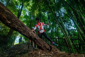 BIB: 
                            <button type="button" onclick="openModal(18996481)" class="btn btn-primary btn-sm float-right btn-popup" data-toggle="modal" data-target=".modal-high-quality">
                        <i class="fas fa-shopping-cart"></i> Add to Cart
                    </button>
                                            <button type="button" onclick="isThisMe(18996481, true)" class="btn btn-success btn-sm float-right btn-popup btn-isme hidden" data-toggle="tooltip" data-placement="bottom" title="นี่คือรูปของคุณใช่ไหม คลิกที่นี่เพื่อเอาเข้าอัลบั้ม">
                        <i class="fas fa-plus"></i> Add to album
                    </button>
                    <button type="button" onclick="isThisMe(18996481, false)" class="btn btn-warning btn-sm float-right btn-popup btn-isnotme hidden">
                        <i class="fas fa-ban"></i> Remove from album
                    </button>