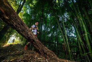 BIB: 
                            <button type="button" onclick="openModal(18986484)" class="btn btn-primary btn-sm float-right btn-popup" data-toggle="modal" data-target=".modal-high-quality">
                        <i class="fas fa-shopping-cart"></i> Add to Cart
                    </button>
                                            <button type="button" onclick="isThisMe(18986484, true)" class="btn btn-success btn-sm float-right btn-popup btn-isme hidden" data-toggle="tooltip" data-placement="bottom" title="นี่คือรูปของคุณใช่ไหม คลิกที่นี่เพื่อเอาเข้าอัลบั้ม">
                        <i class="fas fa-plus"></i> Add to album
                    </button>
                    <button type="button" onclick="isThisMe(18986484, false)" class="btn btn-warning btn-sm float-right btn-popup btn-isnotme hidden">
                        <i class="fas fa-ban"></i> Remove from album
                    </button>