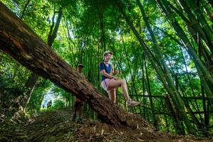 BIB: 
                            <button type="button" onclick="openModal(19068650)" class="btn btn-primary btn-sm float-right btn-popup" data-toggle="modal" data-target=".modal-high-quality">
                        <i class="fas fa-shopping-cart"></i> Add to Cart
                    </button>
                                            <button type="button" onclick="isThisMe(19068650, true)" class="btn btn-success btn-sm float-right btn-popup btn-isme hidden" data-toggle="tooltip" data-placement="bottom" title="นี่คือรูปของคุณใช่ไหม คลิกที่นี่เพื่อเอาเข้าอัลบั้ม">
                        <i class="fas fa-plus"></i> Add to album
                    </button>
                    <button type="button" onclick="isThisMe(19068650, false)" class="btn btn-warning btn-sm float-right btn-popup btn-isnotme hidden">
                        <i class="fas fa-ban"></i> Remove from album
                    </button>