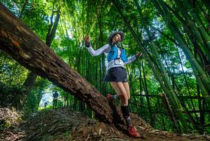 BIB: 
                            <button type="button" onclick="openModal(19001135)" class="btn btn-primary btn-sm float-right btn-popup" data-toggle="modal" data-target=".modal-high-quality">
                        <i class="fas fa-shopping-cart"></i> Add to Cart
                    </button>
                                            <button type="button" onclick="isThisMe(19001135, true)" class="btn btn-success btn-sm float-right btn-popup btn-isme hidden" data-toggle="tooltip" data-placement="bottom" title="นี่คือรูปของคุณใช่ไหม คลิกที่นี่เพื่อเอาเข้าอัลบั้ม">
                        <i class="fas fa-plus"></i> Add to album
                    </button>
                    <button type="button" onclick="isThisMe(19001135, false)" class="btn btn-warning btn-sm float-right btn-popup btn-isnotme hidden">
                        <i class="fas fa-ban"></i> Remove from album
                    </button>