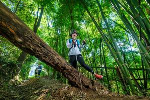 BIB: 
                            <button type="button" onclick="openModal(19070617)" class="btn btn-primary btn-sm float-right btn-popup" data-toggle="modal" data-target=".modal-high-quality">
                        <i class="fas fa-shopping-cart"></i> Add to Cart
                    </button>
                                            <button type="button" onclick="isThisMe(19070617, true)" class="btn btn-success btn-sm float-right btn-popup btn-isme hidden" data-toggle="tooltip" data-placement="bottom" title="นี่คือรูปของคุณใช่ไหม คลิกที่นี่เพื่อเอาเข้าอัลบั้ม">
                        <i class="fas fa-plus"></i> Add to album
                    </button>
                    <button type="button" onclick="isThisMe(19070617, false)" class="btn btn-warning btn-sm float-right btn-popup btn-isnotme hidden">
                        <i class="fas fa-ban"></i> Remove from album
                    </button>