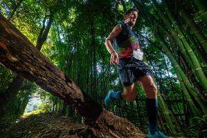 BIB: 
                            <button type="button" onclick="openModal(18987572)" class="btn btn-primary btn-sm float-right btn-popup" data-toggle="modal" data-target=".modal-high-quality">
                        <i class="fas fa-shopping-cart"></i> Add to Cart
                    </button>
                                            <button type="button" onclick="isThisMe(18987572, true)" class="btn btn-success btn-sm float-right btn-popup btn-isme hidden" data-toggle="tooltip" data-placement="bottom" title="นี่คือรูปของคุณใช่ไหม คลิกที่นี่เพื่อเอาเข้าอัลบั้ม">
                        <i class="fas fa-plus"></i> Add to album
                    </button>
                    <button type="button" onclick="isThisMe(18987572, false)" class="btn btn-warning btn-sm float-right btn-popup btn-isnotme hidden">
                        <i class="fas fa-ban"></i> Remove from album
                    </button>