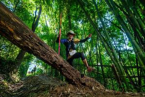 BIB: 
                            <button type="button" onclick="openModal(19054345)" class="btn btn-primary btn-sm float-right btn-popup" data-toggle="modal" data-target=".modal-high-quality">
                        <i class="fas fa-shopping-cart"></i> Add to Cart
                    </button>
                                            <button type="button" onclick="isThisMe(19054345, true)" class="btn btn-success btn-sm float-right btn-popup btn-isme hidden" data-toggle="tooltip" data-placement="bottom" title="นี่คือรูปของคุณใช่ไหม คลิกที่นี่เพื่อเอาเข้าอัลบั้ม">
                        <i class="fas fa-plus"></i> Add to album
                    </button>
                    <button type="button" onclick="isThisMe(19054345, false)" class="btn btn-warning btn-sm float-right btn-popup btn-isnotme hidden">
                        <i class="fas fa-ban"></i> Remove from album
                    </button>