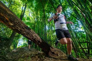 BIB: 
                            <button type="button" onclick="openModal(19059314)" class="btn btn-primary btn-sm float-right btn-popup" data-toggle="modal" data-target=".modal-high-quality">
                        <i class="fas fa-shopping-cart"></i> Add to Cart
                    </button>
                                            <button type="button" onclick="isThisMe(19059314, true)" class="btn btn-success btn-sm float-right btn-popup btn-isme hidden" data-toggle="tooltip" data-placement="bottom" title="นี่คือรูปของคุณใช่ไหม คลิกที่นี่เพื่อเอาเข้าอัลบั้ม">
                        <i class="fas fa-plus"></i> Add to album
                    </button>
                    <button type="button" onclick="isThisMe(19059314, false)" class="btn btn-warning btn-sm float-right btn-popup btn-isnotme hidden">
                        <i class="fas fa-ban"></i> Remove from album
                    </button>