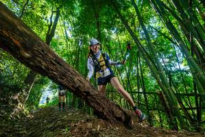 BIB: 
                            <button type="button" onclick="openModal(19069065)" class="btn btn-primary btn-sm float-right btn-popup" data-toggle="modal" data-target=".modal-high-quality">
                        <i class="fas fa-shopping-cart"></i> Add to Cart
                    </button>
                                            <button type="button" onclick="isThisMe(19069065, true)" class="btn btn-success btn-sm float-right btn-popup btn-isme hidden" data-toggle="tooltip" data-placement="bottom" title="นี่คือรูปของคุณใช่ไหม คลิกที่นี่เพื่อเอาเข้าอัลบั้ม">
                        <i class="fas fa-plus"></i> Add to album
                    </button>
                    <button type="button" onclick="isThisMe(19069065, false)" class="btn btn-warning btn-sm float-right btn-popup btn-isnotme hidden">
                        <i class="fas fa-ban"></i> Remove from album
                    </button>