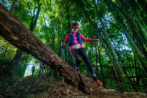 BIB: 
                            <button type="button" onclick="openModal(18998122)" class="btn btn-primary btn-sm float-right btn-popup" data-toggle="modal" data-target=".modal-high-quality">
                        <i class="fas fa-shopping-cart"></i> Add to Cart
                    </button>
                                            <button type="button" onclick="isThisMe(18998122, true)" class="btn btn-success btn-sm float-right btn-popup btn-isme hidden" data-toggle="tooltip" data-placement="bottom" title="นี่คือรูปของคุณใช่ไหม คลิกที่นี่เพื่อเอาเข้าอัลบั้ม">
                        <i class="fas fa-plus"></i> Add to album
                    </button>
                    <button type="button" onclick="isThisMe(18998122, false)" class="btn btn-warning btn-sm float-right btn-popup btn-isnotme hidden">
                        <i class="fas fa-ban"></i> Remove from album
                    </button>