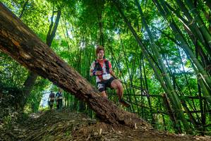 BIB: 2011, 26412
                            <button type="button" onclick="openModal(19062460)" class="btn btn-primary btn-sm float-right btn-popup" data-toggle="modal" data-target=".modal-high-quality">
                        <i class="fas fa-shopping-cart"></i> Add to Cart
                    </button>
                                            <button type="button" onclick="isThisMe(19062460, true)" class="btn btn-success btn-sm float-right btn-popup btn-isme hidden" data-toggle="tooltip" data-placement="bottom" title="นี่คือรูปของคุณใช่ไหม คลิกที่นี่เพื่อเอาเข้าอัลบั้ม">
                        <i class="fas fa-plus"></i> Add to album
                    </button>
                    <button type="button" onclick="isThisMe(19062460, false)" class="btn btn-warning btn-sm float-right btn-popup btn-isnotme hidden">
                        <i class="fas fa-ban"></i> Remove from album
                    </button>