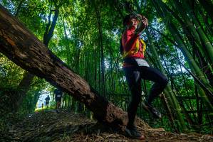 BIB: 
                            <button type="button" onclick="openModal(18991406)" class="btn btn-primary btn-sm float-right btn-popup" data-toggle="modal" data-target=".modal-high-quality">
                        <i class="fas fa-shopping-cart"></i> Add to Cart
                    </button>
                                            <button type="button" onclick="isThisMe(18991406, true)" class="btn btn-success btn-sm float-right btn-popup btn-isme hidden" data-toggle="tooltip" data-placement="bottom" title="นี่คือรูปของคุณใช่ไหม คลิกที่นี่เพื่อเอาเข้าอัลบั้ม">
                        <i class="fas fa-plus"></i> Add to album
                    </button>
                    <button type="button" onclick="isThisMe(18991406, false)" class="btn btn-warning btn-sm float-right btn-popup btn-isnotme hidden">
                        <i class="fas fa-ban"></i> Remove from album
                    </button>