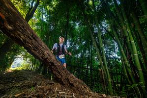 BIB: 
                            <button type="button" onclick="openModal(18986825)" class="btn btn-primary btn-sm float-right btn-popup" data-toggle="modal" data-target=".modal-high-quality">
                        <i class="fas fa-shopping-cart"></i> Add to Cart
                    </button>
                                            <button type="button" onclick="isThisMe(18986825, true)" class="btn btn-success btn-sm float-right btn-popup btn-isme hidden" data-toggle="tooltip" data-placement="bottom" title="นี่คือรูปของคุณใช่ไหม คลิกที่นี่เพื่อเอาเข้าอัลบั้ม">
                        <i class="fas fa-plus"></i> Add to album
                    </button>
                    <button type="button" onclick="isThisMe(18986825, false)" class="btn btn-warning btn-sm float-right btn-popup btn-isnotme hidden">
                        <i class="fas fa-ban"></i> Remove from album
                    </button>