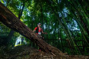 BIB: 
                            <button type="button" onclick="openModal(18991313)" class="btn btn-primary btn-sm float-right btn-popup" data-toggle="modal" data-target=".modal-high-quality">
                        <i class="fas fa-shopping-cart"></i> Add to Cart
                    </button>
                                            <button type="button" onclick="isThisMe(18991313, true)" class="btn btn-success btn-sm float-right btn-popup btn-isme hidden" data-toggle="tooltip" data-placement="bottom" title="นี่คือรูปของคุณใช่ไหม คลิกที่นี่เพื่อเอาเข้าอัลบั้ม">
                        <i class="fas fa-plus"></i> Add to album
                    </button>
                    <button type="button" onclick="isThisMe(18991313, false)" class="btn btn-warning btn-sm float-right btn-popup btn-isnotme hidden">
                        <i class="fas fa-ban"></i> Remove from album
                    </button>