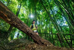 BIB: 2857
                            <button type="button" onclick="openModal(19057629)" class="btn btn-primary btn-sm float-right btn-popup" data-toggle="modal" data-target=".modal-high-quality">
                        <i class="fas fa-shopping-cart"></i> Add to Cart
                    </button>
                                            <button type="button" onclick="isThisMe(19057629, true)" class="btn btn-success btn-sm float-right btn-popup btn-isme hidden" data-toggle="tooltip" data-placement="bottom" title="นี่คือรูปของคุณใช่ไหม คลิกที่นี่เพื่อเอาเข้าอัลบั้ม">
                        <i class="fas fa-plus"></i> Add to album
                    </button>
                    <button type="button" onclick="isThisMe(19057629, false)" class="btn btn-warning btn-sm float-right btn-popup btn-isnotme hidden">
                        <i class="fas fa-ban"></i> Remove from album
                    </button>