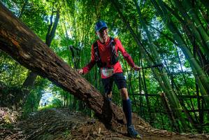 BIB: 2005
                            <button type="button" onclick="openModal(19000238)" class="btn btn-primary btn-sm float-right btn-popup" data-toggle="modal" data-target=".modal-high-quality">
                        <i class="fas fa-shopping-cart"></i> Add to Cart
                    </button>
                                            <button type="button" onclick="isThisMe(19000238, true)" class="btn btn-success btn-sm float-right btn-popup btn-isme hidden" data-toggle="tooltip" data-placement="bottom" title="นี่คือรูปของคุณใช่ไหม คลิกที่นี่เพื่อเอาเข้าอัลบั้ม">
                        <i class="fas fa-plus"></i> Add to album
                    </button>
                    <button type="button" onclick="isThisMe(19000238, false)" class="btn btn-warning btn-sm float-right btn-popup btn-isnotme hidden">
                        <i class="fas fa-ban"></i> Remove from album
                    </button>