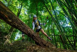 BIB: 
                            <button type="button" onclick="openModal(19068975)" class="btn btn-primary btn-sm float-right btn-popup" data-toggle="modal" data-target=".modal-high-quality">
                        <i class="fas fa-shopping-cart"></i> Add to Cart
                    </button>
                                            <button type="button" onclick="isThisMe(19068975, true)" class="btn btn-success btn-sm float-right btn-popup btn-isme hidden" data-toggle="tooltip" data-placement="bottom" title="นี่คือรูปของคุณใช่ไหม คลิกที่นี่เพื่อเอาเข้าอัลบั้ม">
                        <i class="fas fa-plus"></i> Add to album
                    </button>
                    <button type="button" onclick="isThisMe(19068975, false)" class="btn btn-warning btn-sm float-right btn-popup btn-isnotme hidden">
                        <i class="fas fa-ban"></i> Remove from album
                    </button>