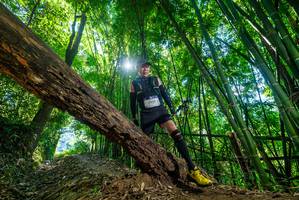 BIB: 2558
                            <button type="button" onclick="openModal(19057839)" class="btn btn-primary btn-sm float-right btn-popup" data-toggle="modal" data-target=".modal-high-quality">
                        <i class="fas fa-shopping-cart"></i> Add to Cart
                    </button>
                                            <button type="button" onclick="isThisMe(19057839, true)" class="btn btn-success btn-sm float-right btn-popup btn-isme hidden" data-toggle="tooltip" data-placement="bottom" title="นี่คือรูปของคุณใช่ไหม คลิกที่นี่เพื่อเอาเข้าอัลบั้ม">
                        <i class="fas fa-plus"></i> Add to album
                    </button>
                    <button type="button" onclick="isThisMe(19057839, false)" class="btn btn-warning btn-sm float-right btn-popup btn-isnotme hidden">
                        <i class="fas fa-ban"></i> Remove from album
                    </button>