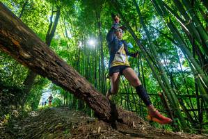 BIB: 
                            <button type="button" onclick="openModal(19063571)" class="btn btn-primary btn-sm float-right btn-popup" data-toggle="modal" data-target=".modal-high-quality">
                        <i class="fas fa-shopping-cart"></i> Add to Cart
                    </button>
                                            <button type="button" onclick="isThisMe(19063571, true)" class="btn btn-success btn-sm float-right btn-popup btn-isme hidden" data-toggle="tooltip" data-placement="bottom" title="นี่คือรูปของคุณใช่ไหม คลิกที่นี่เพื่อเอาเข้าอัลบั้ม">
                        <i class="fas fa-plus"></i> Add to album
                    </button>
                    <button type="button" onclick="isThisMe(19063571, false)" class="btn btn-warning btn-sm float-right btn-popup btn-isnotme hidden">
                        <i class="fas fa-ban"></i> Remove from album
                    </button>