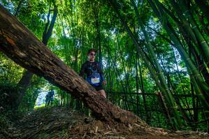 BIB: 
                            <button type="button" onclick="openModal(18989533)" class="btn btn-primary btn-sm float-right btn-popup" data-toggle="modal" data-target=".modal-high-quality">
                        <i class="fas fa-shopping-cart"></i> Add to Cart
                    </button>
                                            <button type="button" onclick="isThisMe(18989533, true)" class="btn btn-success btn-sm float-right btn-popup btn-isme hidden" data-toggle="tooltip" data-placement="bottom" title="นี่คือรูปของคุณใช่ไหม คลิกที่นี่เพื่อเอาเข้าอัลบั้ม">
                        <i class="fas fa-plus"></i> Add to album
                    </button>
                    <button type="button" onclick="isThisMe(18989533, false)" class="btn btn-warning btn-sm float-right btn-popup btn-isnotme hidden">
                        <i class="fas fa-ban"></i> Remove from album
                    </button>