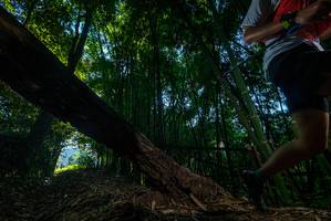 BIB: 
                            <button type="button" onclick="openModal(18990793)" class="btn btn-primary btn-sm float-right btn-popup" data-toggle="modal" data-target=".modal-high-quality">
                        <i class="fas fa-shopping-cart"></i> Add to Cart
                    </button>
                                            <button type="button" onclick="isThisMe(18990793, true)" class="btn btn-success btn-sm float-right btn-popup btn-isme hidden" data-toggle="tooltip" data-placement="bottom" title="นี่คือรูปของคุณใช่ไหม คลิกที่นี่เพื่อเอาเข้าอัลบั้ม">
                        <i class="fas fa-plus"></i> Add to album
                    </button>
                    <button type="button" onclick="isThisMe(18990793, false)" class="btn btn-warning btn-sm float-right btn-popup btn-isnotme hidden">
                        <i class="fas fa-ban"></i> Remove from album
                    </button>