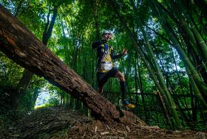 BIB: 2241
                            <button type="button" onclick="openModal(18997448)" class="btn btn-primary btn-sm float-right btn-popup" data-toggle="modal" data-target=".modal-high-quality">
                        <i class="fas fa-shopping-cart"></i> Add to Cart
                    </button>
                                            <button type="button" onclick="isThisMe(18997448, true)" class="btn btn-success btn-sm float-right btn-popup btn-isme hidden" data-toggle="tooltip" data-placement="bottom" title="นี่คือรูปของคุณใช่ไหม คลิกที่นี่เพื่อเอาเข้าอัลบั้ม">
                        <i class="fas fa-plus"></i> Add to album
                    </button>
                    <button type="button" onclick="isThisMe(18997448, false)" class="btn btn-warning btn-sm float-right btn-popup btn-isnotme hidden">
                        <i class="fas fa-ban"></i> Remove from album
                    </button>