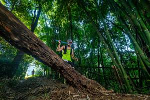 BIB: 
                            <button type="button" onclick="openModal(18992631)" class="btn btn-primary btn-sm float-right btn-popup" data-toggle="modal" data-target=".modal-high-quality">
                        <i class="fas fa-shopping-cart"></i> Add to Cart
                    </button>
                                            <button type="button" onclick="isThisMe(18992631, true)" class="btn btn-success btn-sm float-right btn-popup btn-isme hidden" data-toggle="tooltip" data-placement="bottom" title="นี่คือรูปของคุณใช่ไหม คลิกที่นี่เพื่อเอาเข้าอัลบั้ม">
                        <i class="fas fa-plus"></i> Add to album
                    </button>
                    <button type="button" onclick="isThisMe(18992631, false)" class="btn btn-warning btn-sm float-right btn-popup btn-isnotme hidden">
                        <i class="fas fa-ban"></i> Remove from album
                    </button>