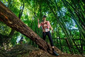 BIB: 
                            <button type="button" onclick="openModal(19055495)" class="btn btn-primary btn-sm float-right btn-popup" data-toggle="modal" data-target=".modal-high-quality">
                        <i class="fas fa-shopping-cart"></i> Add to Cart
                    </button>
                                            <button type="button" onclick="isThisMe(19055495, true)" class="btn btn-success btn-sm float-right btn-popup btn-isme hidden" data-toggle="tooltip" data-placement="bottom" title="นี่คือรูปของคุณใช่ไหม คลิกที่นี่เพื่อเอาเข้าอัลบั้ม">
                        <i class="fas fa-plus"></i> Add to album
                    </button>
                    <button type="button" onclick="isThisMe(19055495, false)" class="btn btn-warning btn-sm float-right btn-popup btn-isnotme hidden">
                        <i class="fas fa-ban"></i> Remove from album
                    </button>