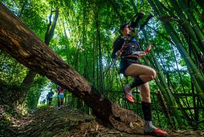 BIB: 
                            <button type="button" onclick="openModal(19054504)" class="btn btn-primary btn-sm float-right btn-popup" data-toggle="modal" data-target=".modal-high-quality">
                        <i class="fas fa-shopping-cart"></i> Add to Cart
                    </button>
                                            <button type="button" onclick="isThisMe(19054504, true)" class="btn btn-success btn-sm float-right btn-popup btn-isme hidden" data-toggle="tooltip" data-placement="bottom" title="นี่คือรูปของคุณใช่ไหม คลิกที่นี่เพื่อเอาเข้าอัลบั้ม">
                        <i class="fas fa-plus"></i> Add to album
                    </button>
                    <button type="button" onclick="isThisMe(19054504, false)" class="btn btn-warning btn-sm float-right btn-popup btn-isnotme hidden">
                        <i class="fas fa-ban"></i> Remove from album
                    </button>