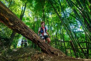 BIB: 
                            <button type="button" onclick="openModal(19062450)" class="btn btn-primary btn-sm float-right btn-popup" data-toggle="modal" data-target=".modal-high-quality">
                        <i class="fas fa-shopping-cart"></i> Add to Cart
                    </button>
                                            <button type="button" onclick="isThisMe(19062450, true)" class="btn btn-success btn-sm float-right btn-popup btn-isme hidden" data-toggle="tooltip" data-placement="bottom" title="นี่คือรูปของคุณใช่ไหม คลิกที่นี่เพื่อเอาเข้าอัลบั้ม">
                        <i class="fas fa-plus"></i> Add to album
                    </button>
                    <button type="button" onclick="isThisMe(19062450, false)" class="btn btn-warning btn-sm float-right btn-popup btn-isnotme hidden">
                        <i class="fas fa-ban"></i> Remove from album
                    </button>