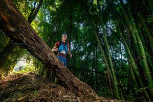 BIB: 
                            <button type="button" onclick="openModal(18986143)" class="btn btn-primary btn-sm float-right btn-popup" data-toggle="modal" data-target=".modal-high-quality">
                        <i class="fas fa-shopping-cart"></i> Add to Cart
                    </button>
                                            <button type="button" onclick="isThisMe(18986143, true)" class="btn btn-success btn-sm float-right btn-popup btn-isme hidden" data-toggle="tooltip" data-placement="bottom" title="นี่คือรูปของคุณใช่ไหม คลิกที่นี่เพื่อเอาเข้าอัลบั้ม">
                        <i class="fas fa-plus"></i> Add to album
                    </button>
                    <button type="button" onclick="isThisMe(18986143, false)" class="btn btn-warning btn-sm float-right btn-popup btn-isnotme hidden">
                        <i class="fas fa-ban"></i> Remove from album
                    </button>